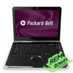 Ремонт Packard Bell EasyNote DotS