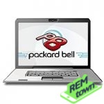 Ремонт Packard Bell EasyNote TM87